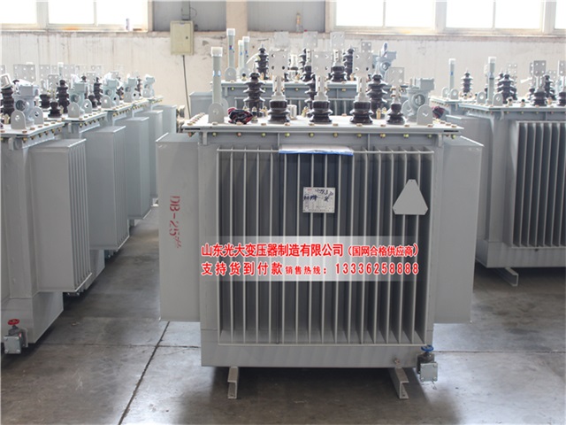 巴林右S13-800KVA油浸式电力变压器