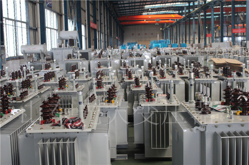 巴林右S22-800KVA/10KV